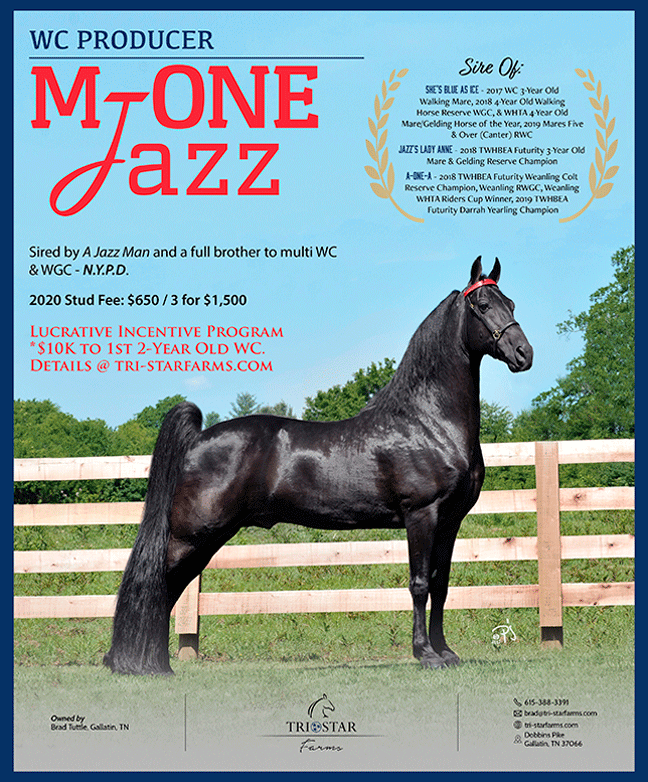 MOne Jazz The Walking Horse Report